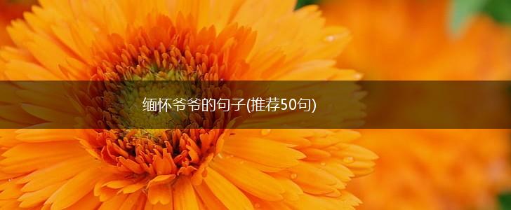 缅怀爷爷的句子(推荐50句),第1张