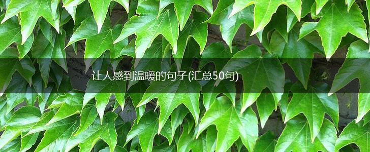 让人感到温暖的句子(汇总50句),第1张