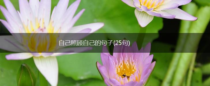 自己照顾自己的句子(25句),第1张
