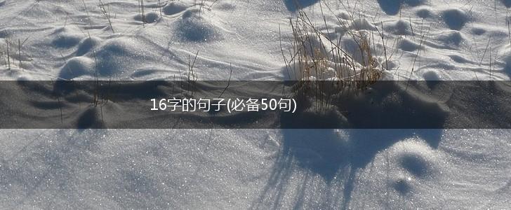 16字的句子(必备50句),第1张