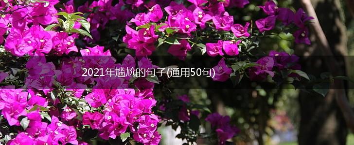 2021年尴尬的句子(通用50句),第1张