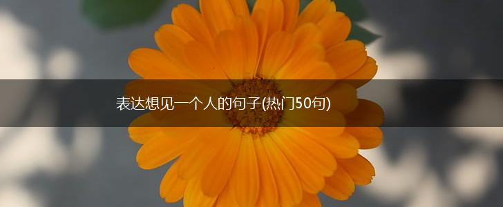 表达想见一个人的句子(热门50句),第1张