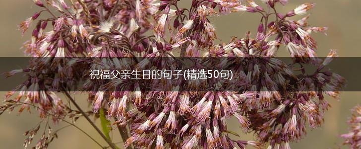 祝福父亲生日的句子(精选50句),第1张