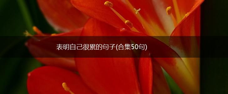 表明自己很累的句子(合集50句),第1张