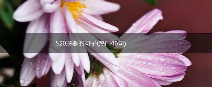 520感概的句子(热门46句),第1张