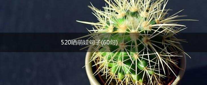 520晒萌娃句子(60句),第1张