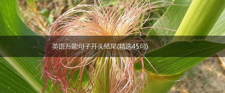 英语万能句子开头结尾(精选45句),第1张