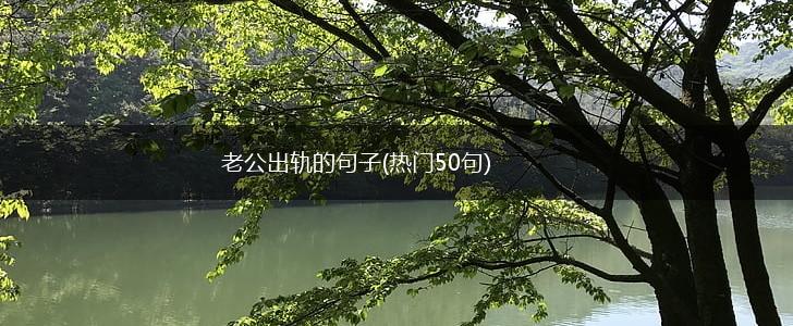 老公出轨的句子(热门50句),第1张