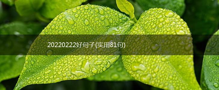 20220222好句子(实用81句),第1张