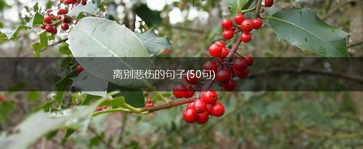 离别悲伤的句子(50句),第1张