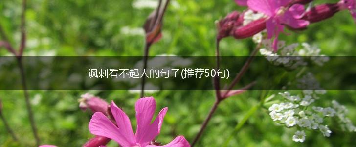 讽刺看不起人的句子(推荐50句),第1张