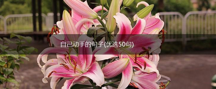 自己动手的句子(优选50句),第1张