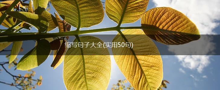 缩写句子大全(实用50句),第1张