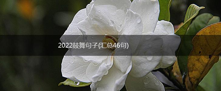 2022鼓舞句子(汇总46句),第1张