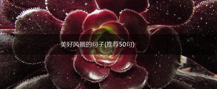 美好风景的句子(推荐50句),第1张