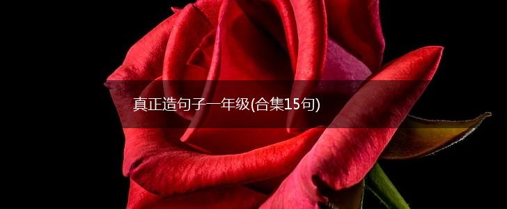真正造句子一年级(合集15句),第1张