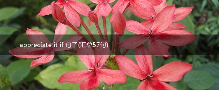 appreciate it if 句子(汇总57句),第1张