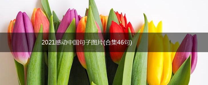 2021感动中国句子图片(合集46句),第1张
