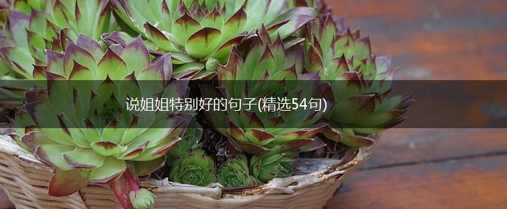 说姐姐特别好的句子(精选54句),第1张