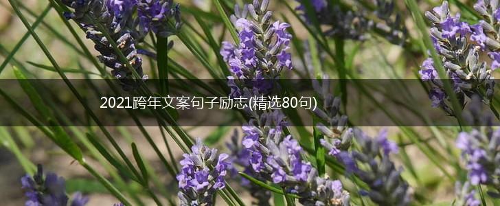 2021跨年文案句子励志(精选80句),第1张