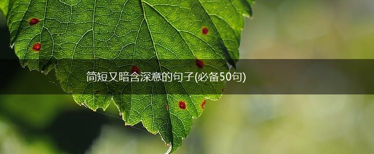 简短又暗含深意的句子(必备50句),第1张