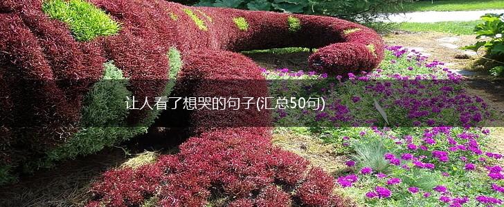 让人看了想哭的句子(汇总50句),第1张