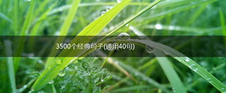 3500个经典句子(通用40句),第1张