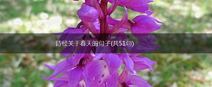 诗经关于春天的句子(共51句),第1张