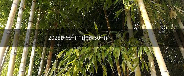 2028伤感句子(精选50句),第1张
