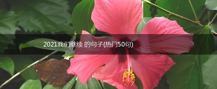 2021我们继续 的句子(热门50句),第1张