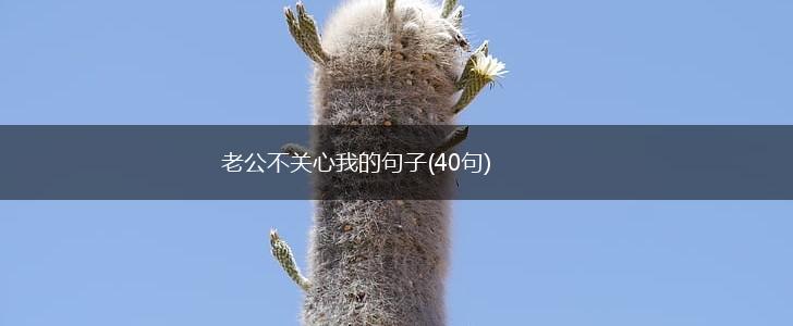老公不关心我的句子(40句),第1张