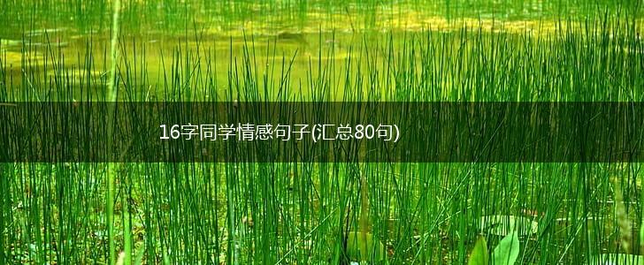 16字同学情感句子(汇总80句),第1张
