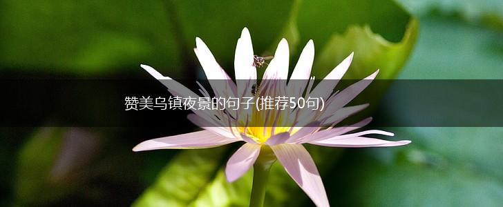 赞美乌镇夜景的句子(推荐50句),第1张