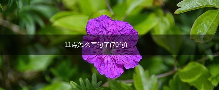 11点怎么写句子(70句),第1张