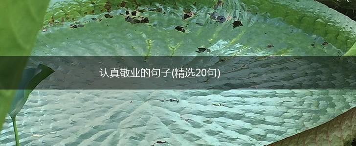 认真敬业的句子(精选20句),第1张
