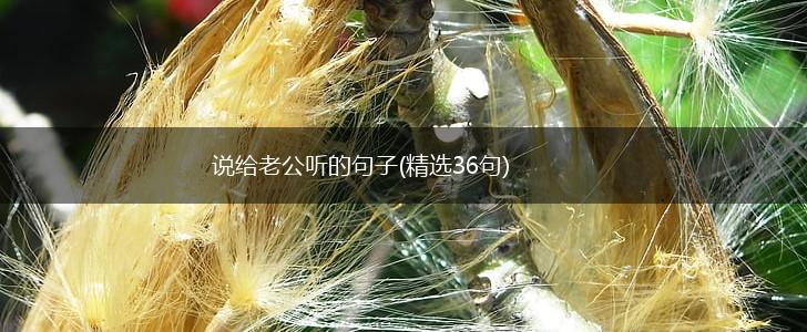 说给老公听的句子(精选36句),第1张