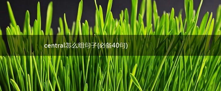 central怎么组句子(必备40句),第1张