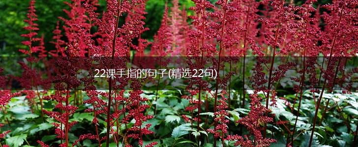 22课手指的句子(精选22句),第1张