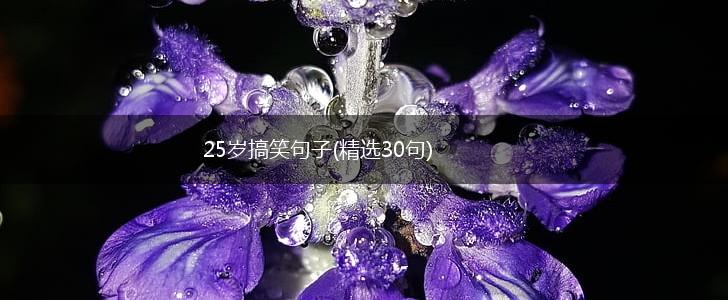 25岁搞笑句子(精选30句),第1张