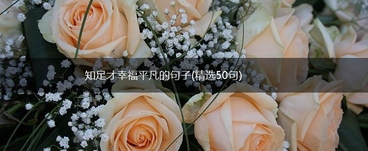 知足才幸福平凡的句子(精选50句),第1张
