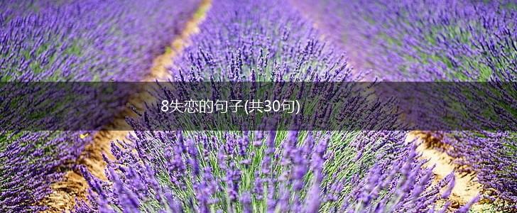 8失恋的句子(共30句),第1张