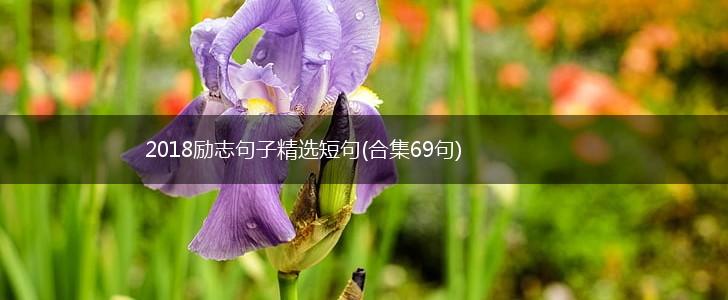 2018励志句子精选短句(合集69句),第1张