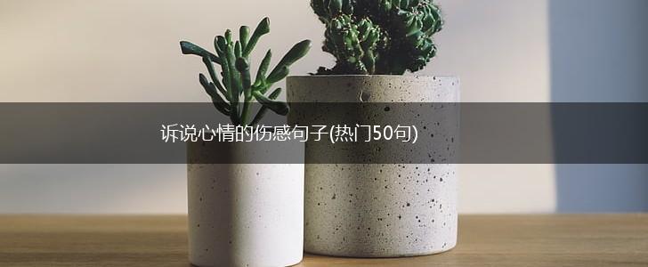 诉说心情的伤感句子(热门50句),第1张