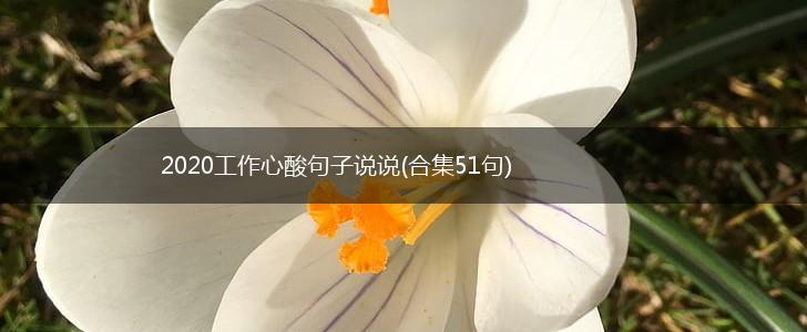 2020工作心酸句子说说(合集51句),第1张