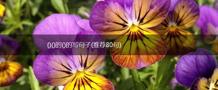 ()()的()的写句子(推荐80句),第1张