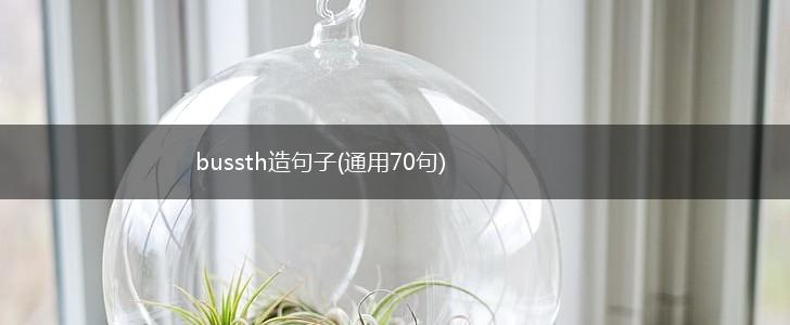 bussth造句子(通用70句),第1张
