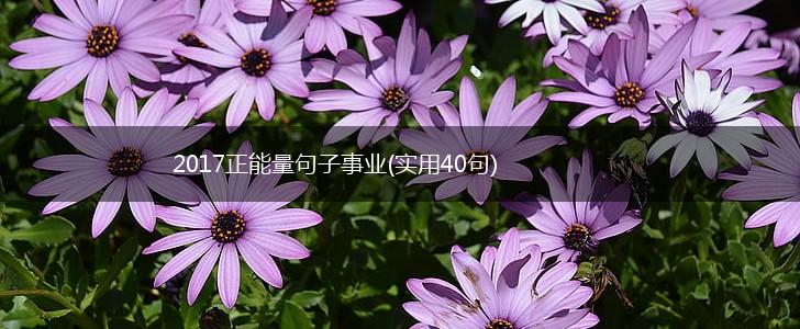 2017正能量句子事业(实用40句),第1张