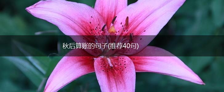 秋后算账的句子(推荐40句),第1张