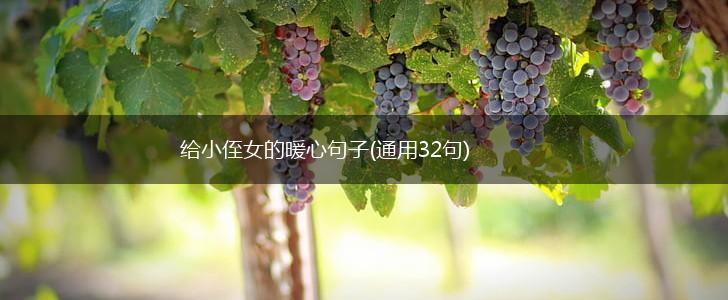 给小侄女的暖心句子(通用32句),第1张