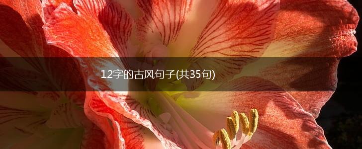 12字的古风句子(共35句),第1张